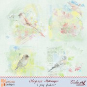 Оверлеи «Птицы»