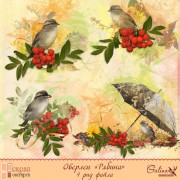 Оверлеи "Рябина"