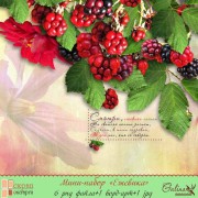 Скрап-набор "Ежевика" Скрап-набор "Ежевика"